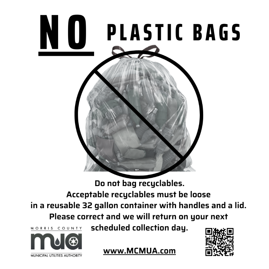 image of No PLastic Bags Sticker